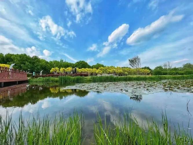 北京网络环境优化指南