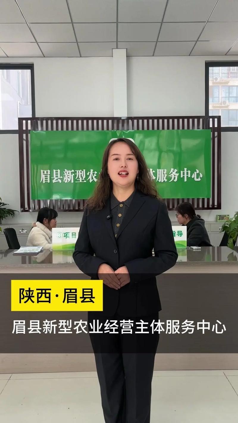 眉县网站建设指南