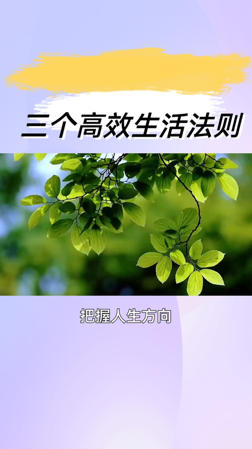 配置3,让您的生活更高效