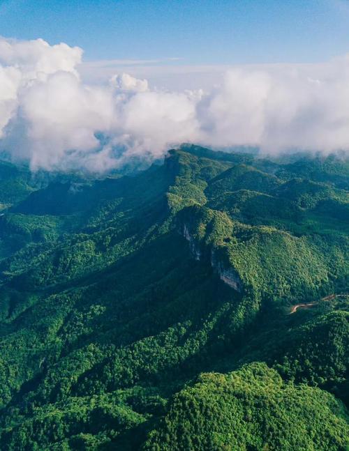广元，你的理想旅游目的地？制作一份SEO优化、美观实用的旅游网站吧！