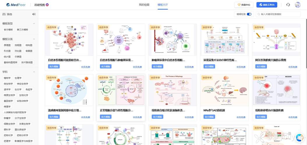 如何高效优化你的绘图电脑配置？步骤指南直击关键！