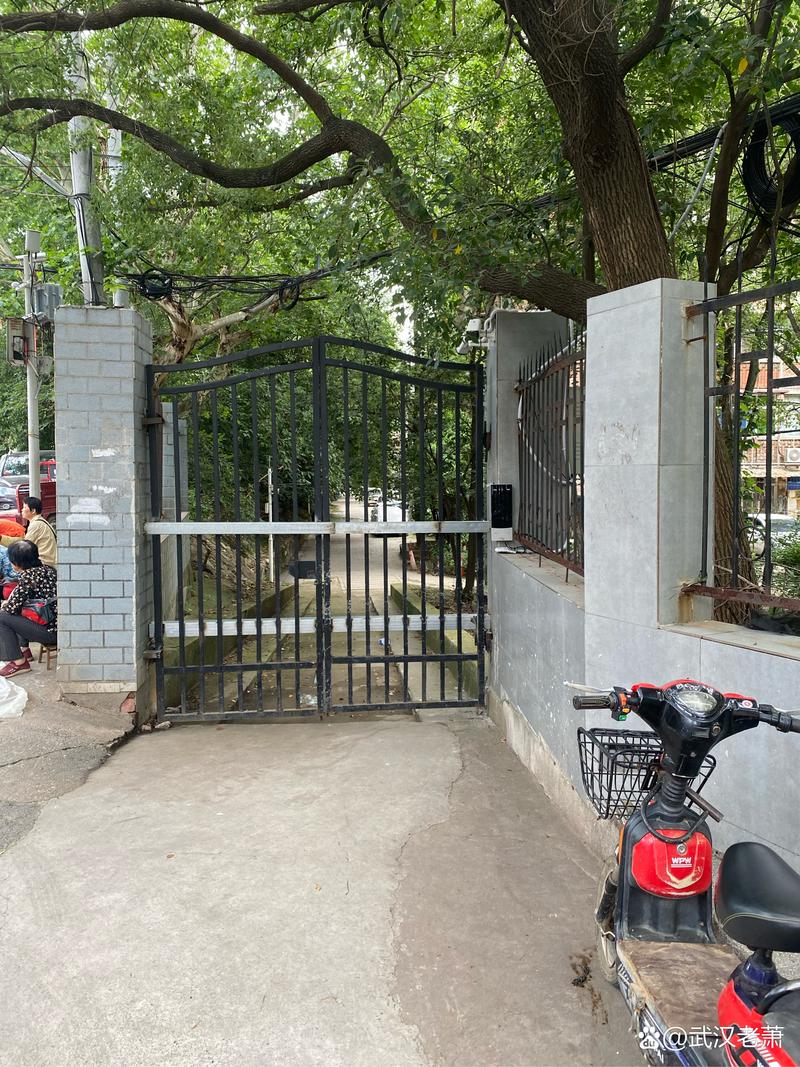 青山高县最新疫情，防控措施与公众反应