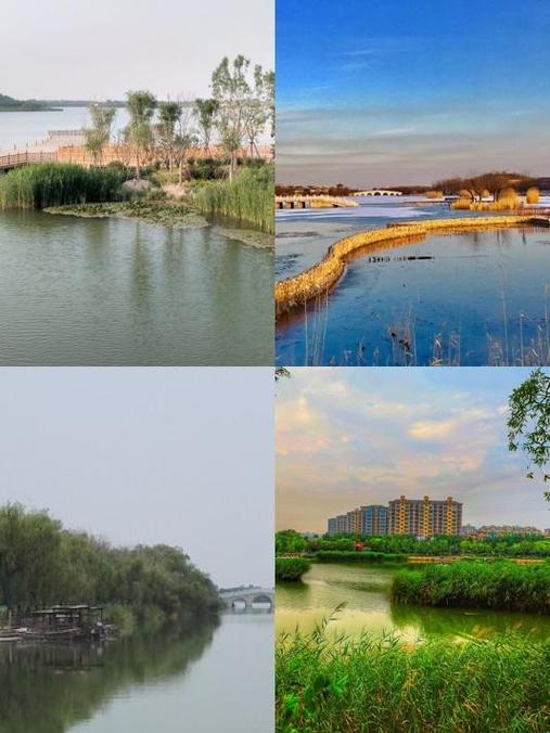 桓台哪个网络好？