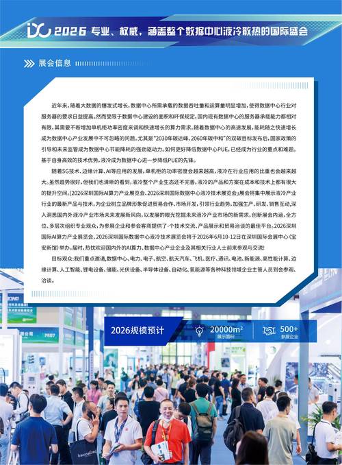 新注册网络平台,用户驱动的未来