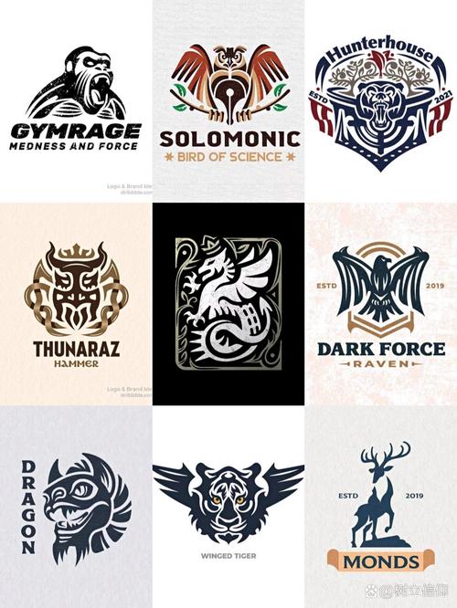 瑞杰腾矢量设计，让网站设计更高效？