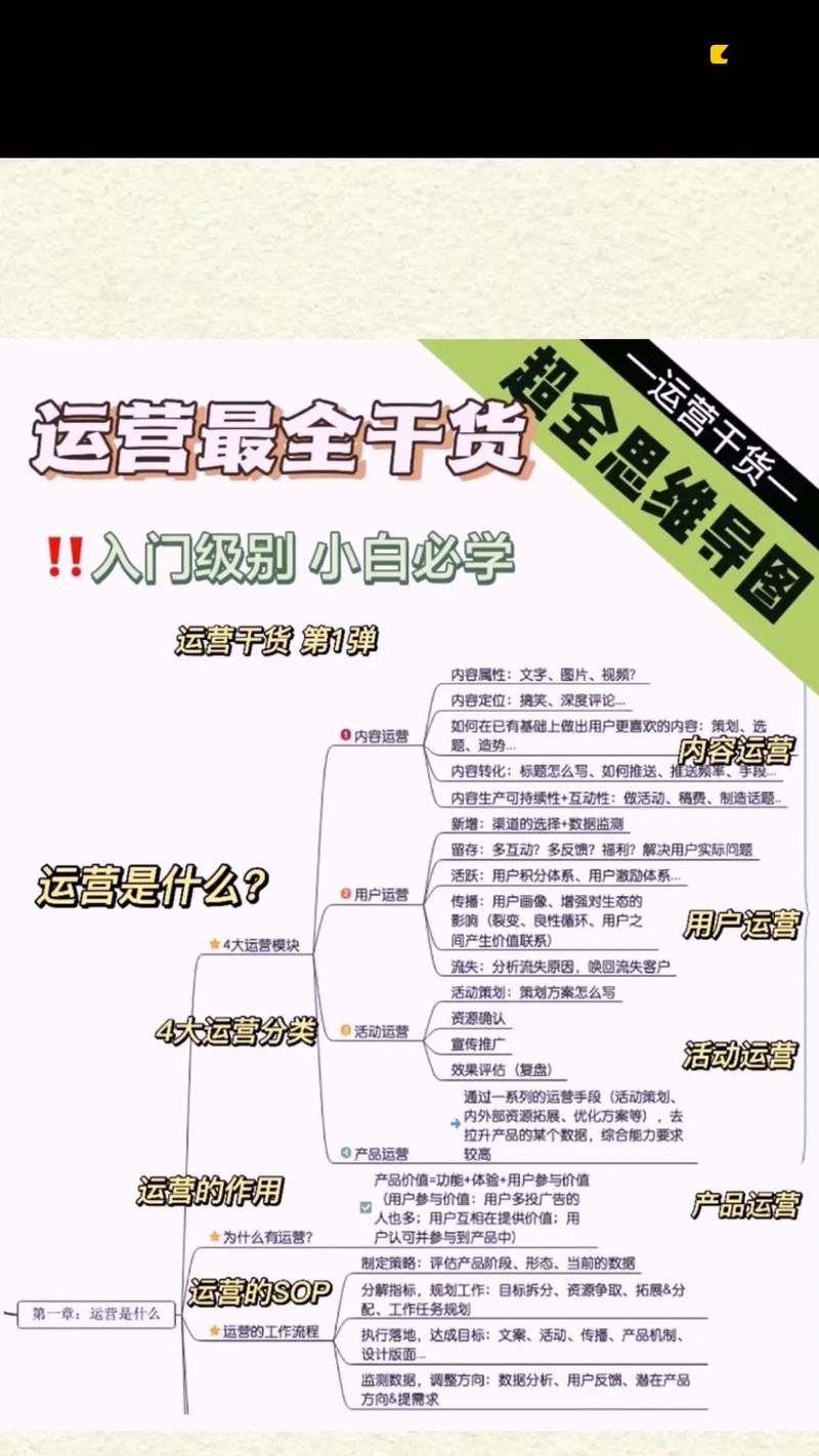 东莞本地化电商设计与开发指南