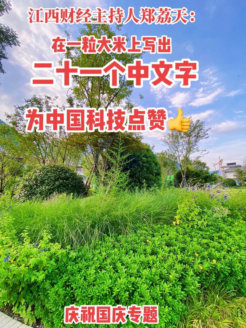 抖音无限赞与置顶点赞秒都在江西,你值得尝试!