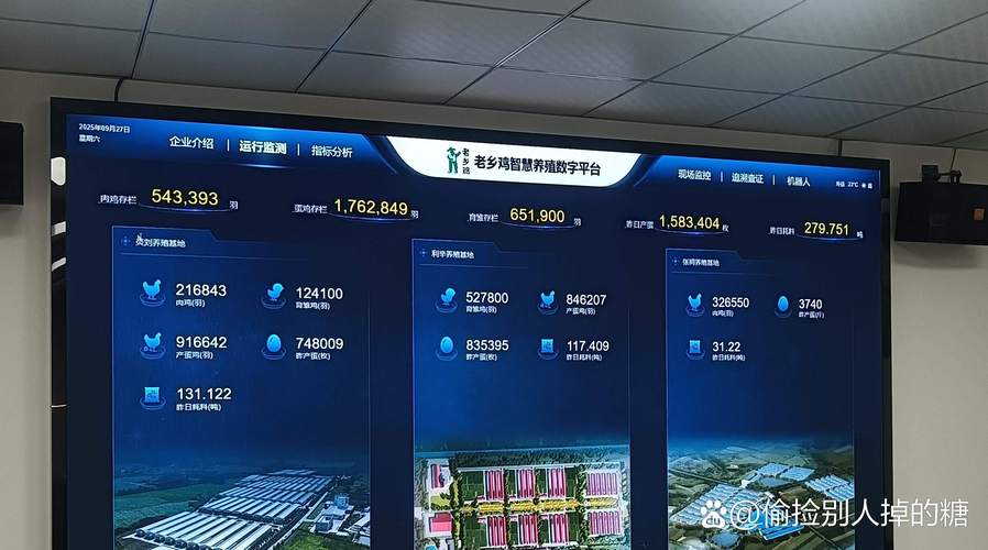 资讯运营，合肥丰盈网络有限公司的未来与机遇