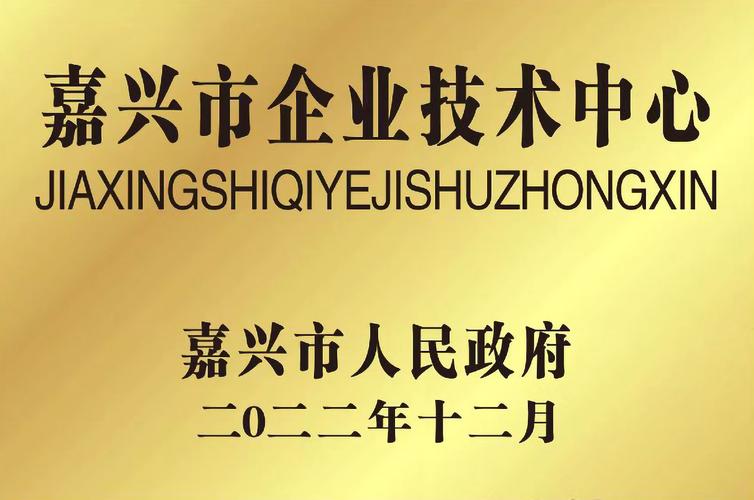 海宁嘉兴专业网站建设，助力企业脱颖而出