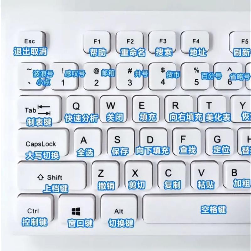 如何高效掌握电脑键盘指法？这篇指南让你轻松掌握！