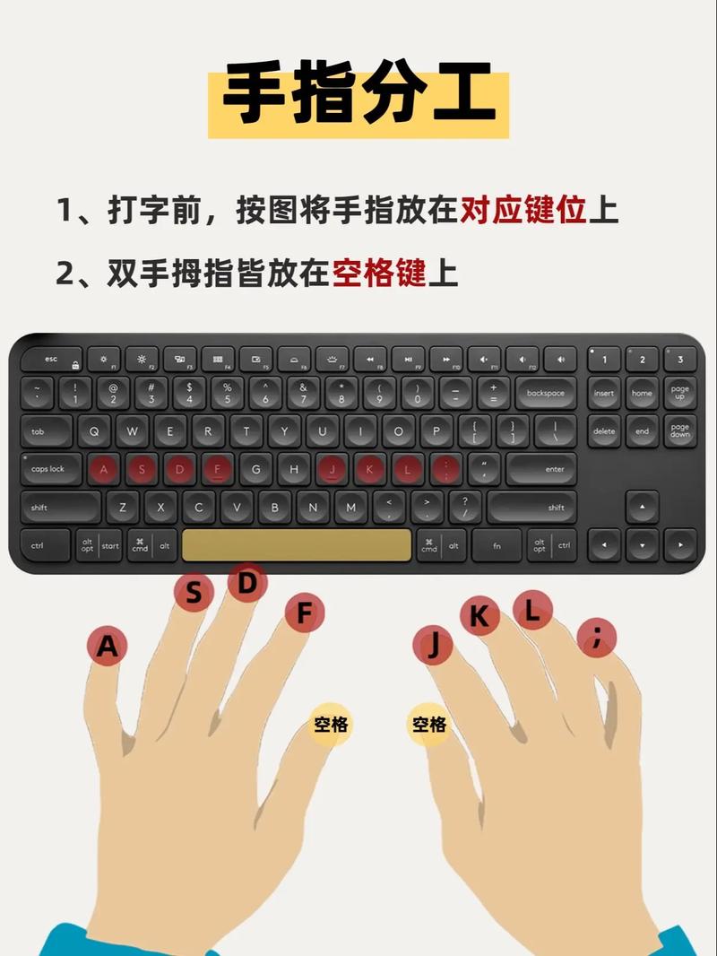 电脑打字指法，手部与数字的完美结合