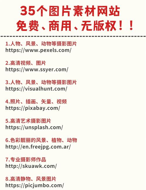 如何选择合适的网站类型？