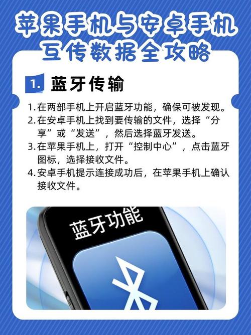 选择手机的网络，助力数据传输的高效选择