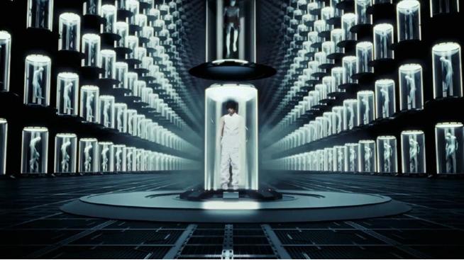 term城网络公司，选择你的理想 destination！