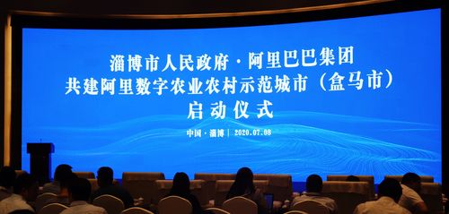 淄博张店网络公司,开启网络推广之旅,开启未来!