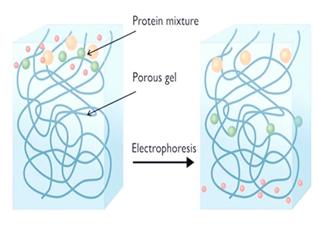 胶 South的网络,机遇与挑战