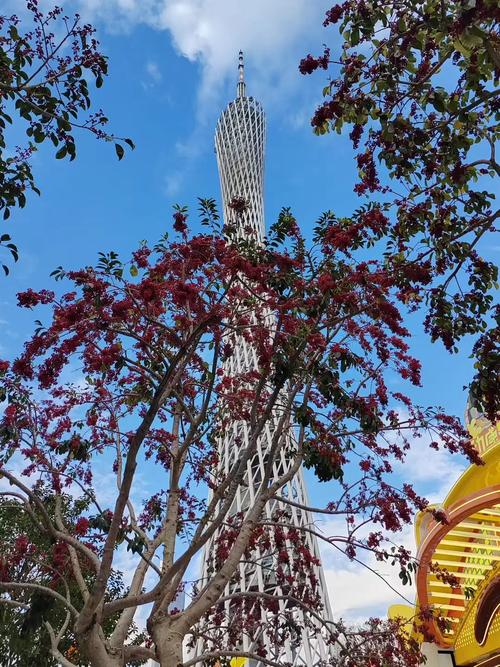 广州光塔的空中花园，疫情中的文化守护者