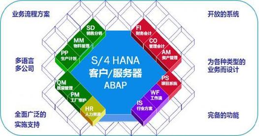 如何利用云南省网络站点提升运营效率？指南来了！