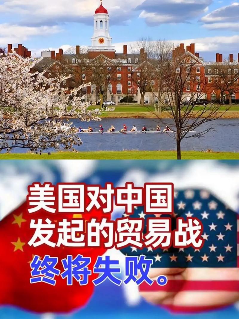 国外疫情最新消息,全球合作的危机与机遇