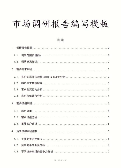 工作总结，快手、微信支付、小明的市场分析