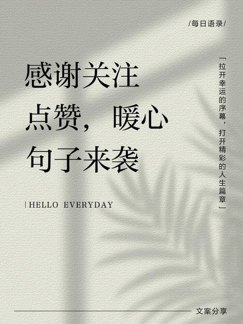 更受欢迎?从刷赞代刷到关注点赞评论,你掌握的策略有哪些?