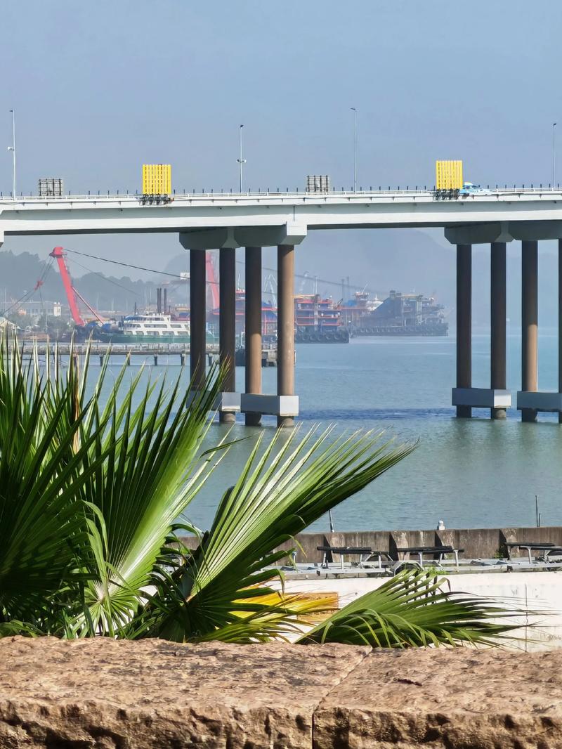 南沙,海洋资源与交通的完美结合