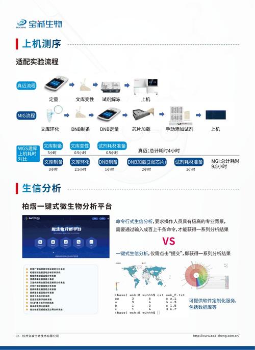 如何高效进行网络优化？权威指南