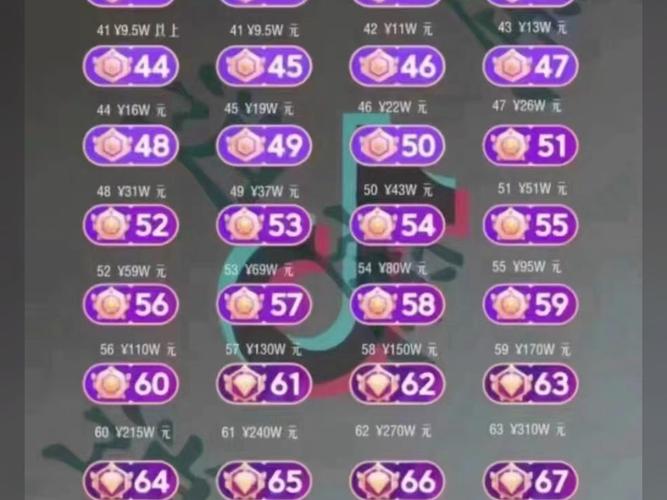 抖音和快手的消费等级代刷指南