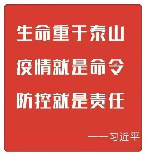 慢河疫情最新消息，数据与行动的结合