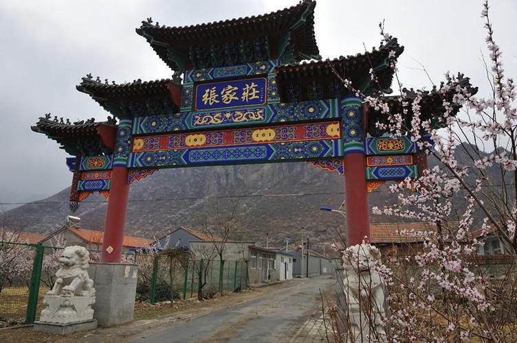 太谷疫情最新动态,张家庄最新消息