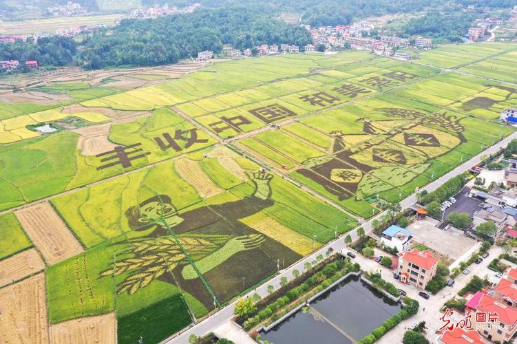 婺源,农业特色村的未来,科技助力发展!