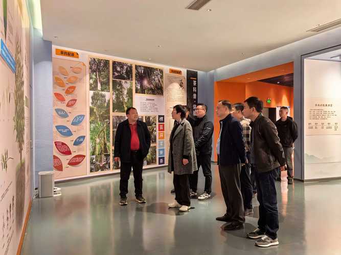 广西壮族自治区桂林市同心村疫情最新消息