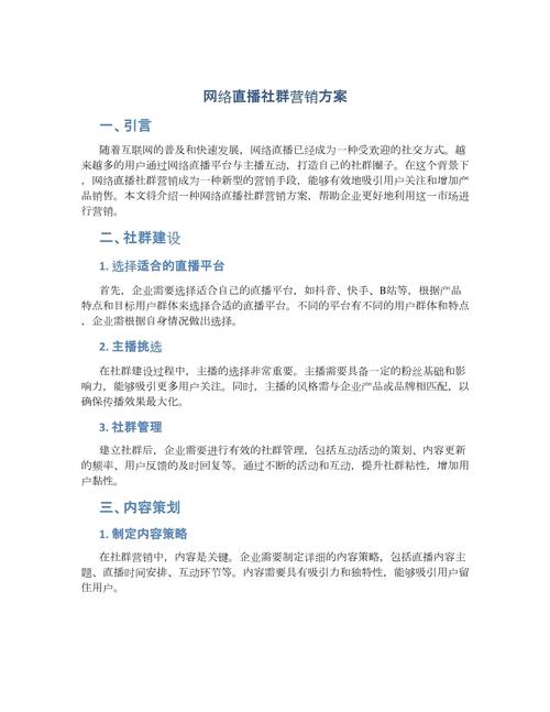 网络策划执行方案