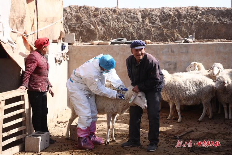 甘肃环县疫情防控最新消息