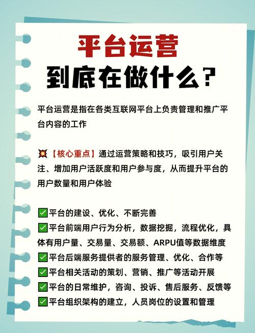 如何搭建一个高效、专业的网站，从设计到运营的全生命周期指南