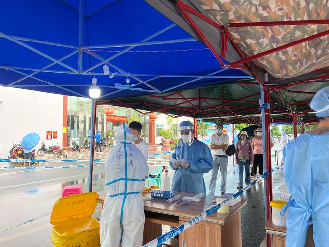 乐东疫情最新消息,从疫情初期调整到最新动态