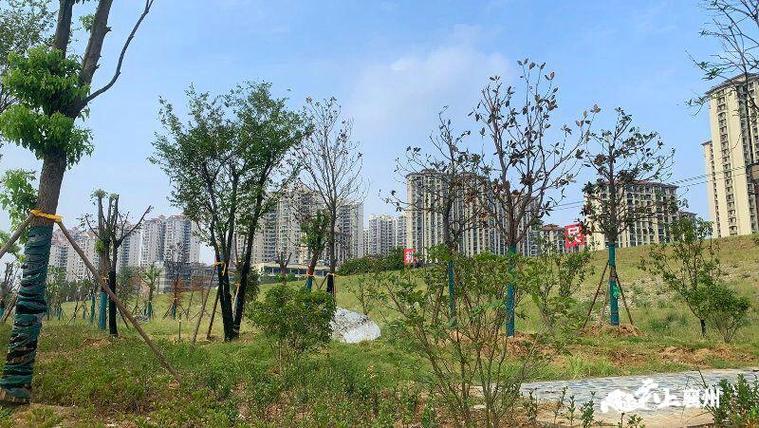 襄阳河畔疫情防控新趋势