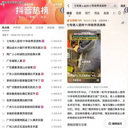 抖音快手刷赞平台，轻松抓住流量密码