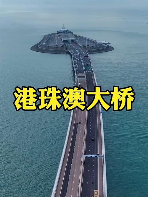 潮连大桥，疫情最新动态，让生命回归正常