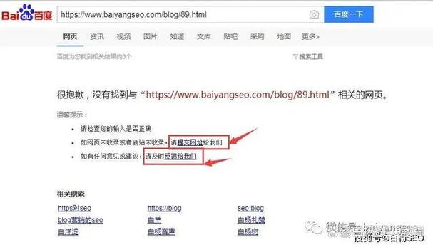 223年韶关SEO虾哥网络,让SEO与生活同步