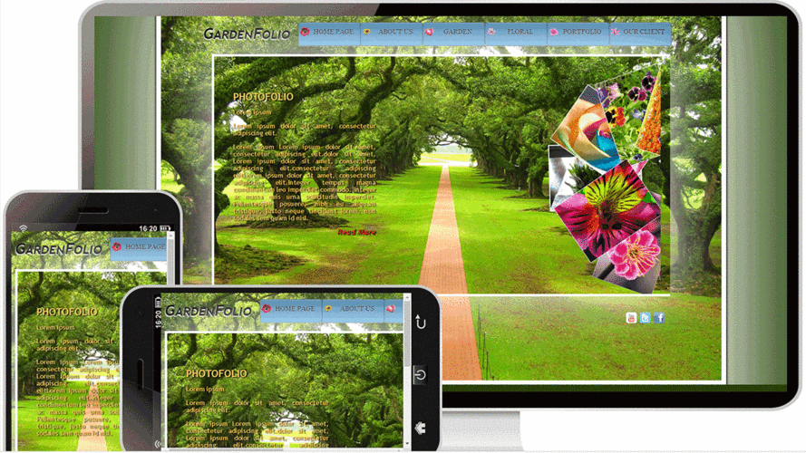 科迪兔建站简介