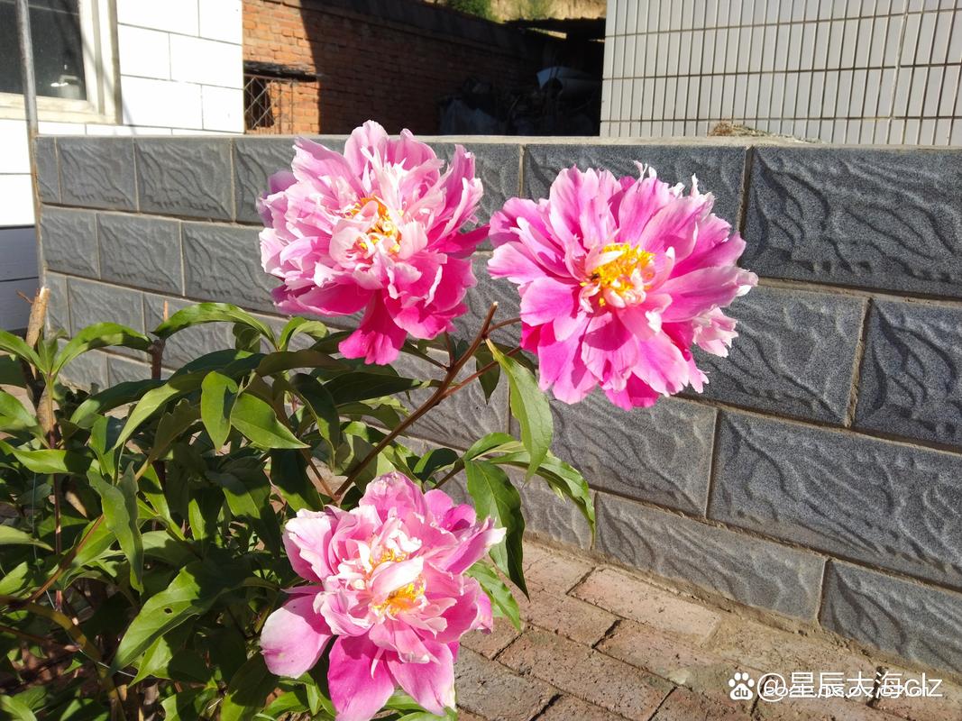 让你的电脑成为你的理想生活 companion