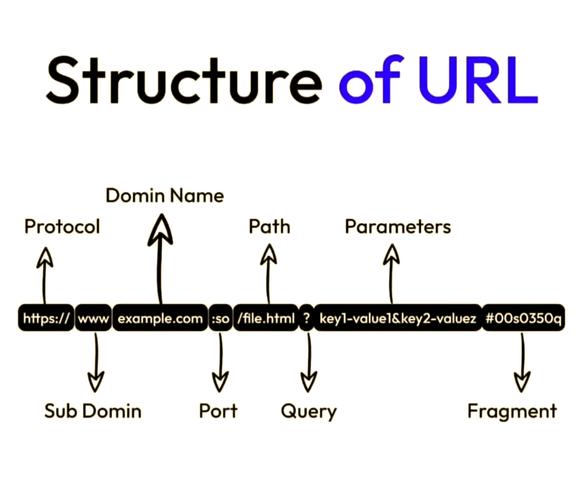 如何正确配置网络URL