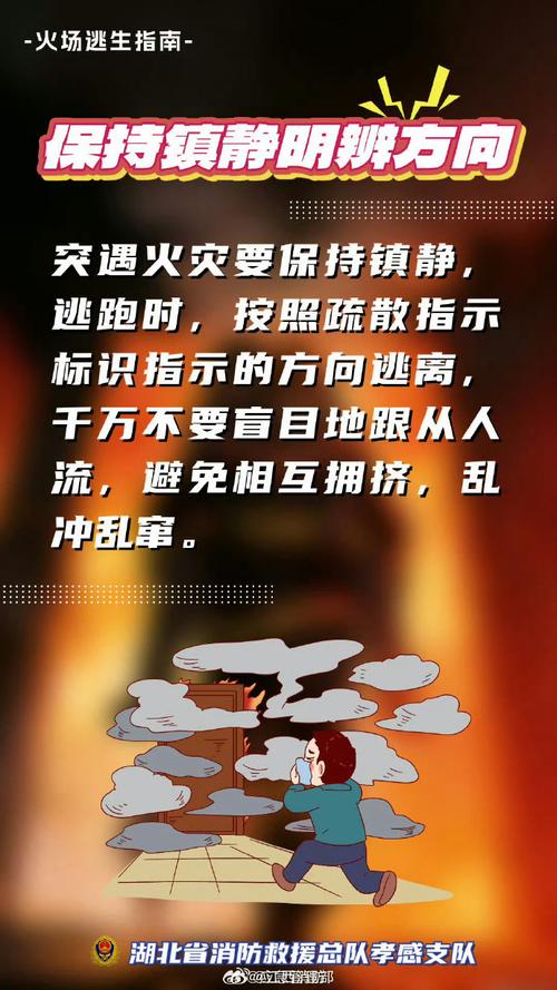 韩国疫情与火灾,最新动态,你必须知道!