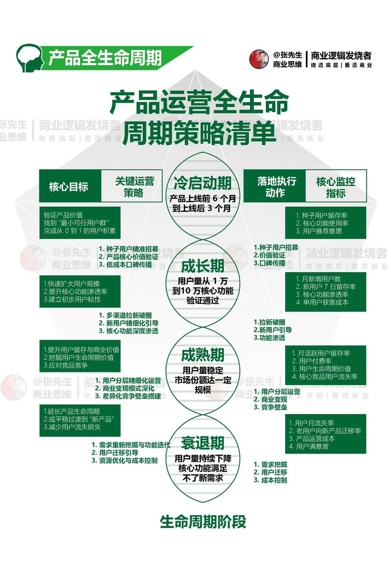 政府网站优化指南，从规划到运营的全生命周期管理
