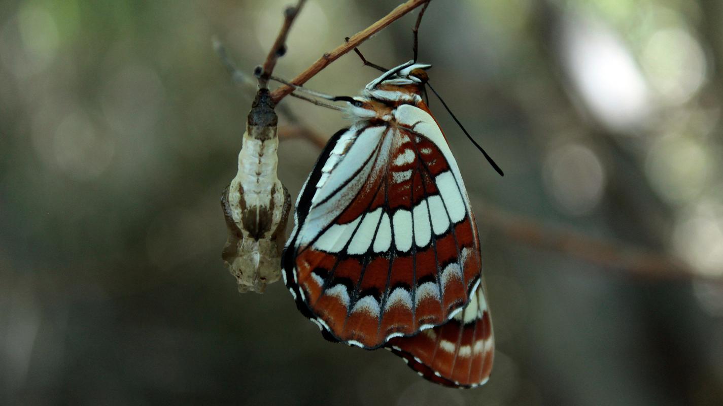 让你的35台式电脑成为你的得力助手