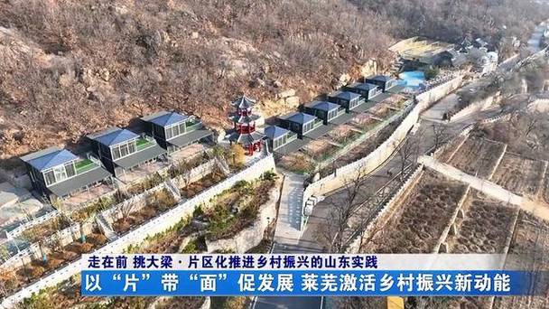 莱州市网站建设,助力乡村振兴的创新实践