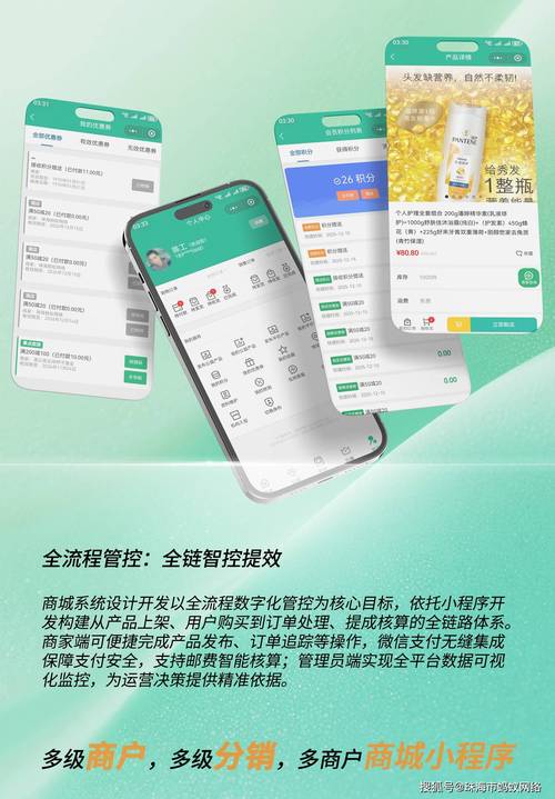 网红商城与ks自助代刷网，构建高效支付生态