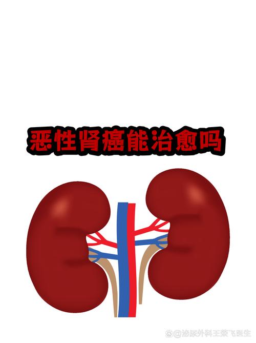 全国疫情解控,最新动态与应对策略指南