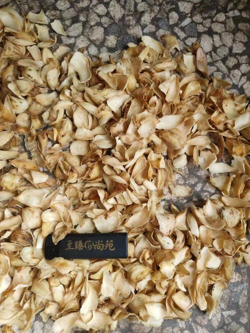 药材网网站技术建设指南